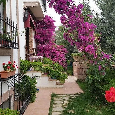 Pensión Cunda Nesos Ayvalı