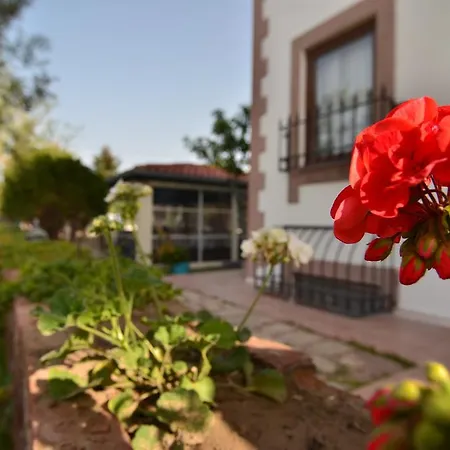 Pensionat Cunda Nesos 4*