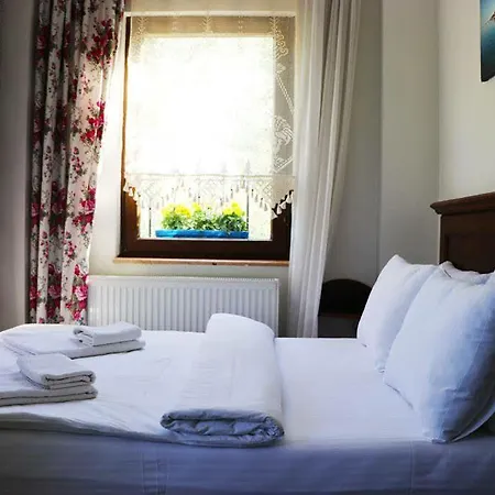 Pensionat Cunda Nesos 4*