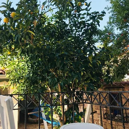 Cunda Nesos Pensionat